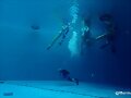 Behind-the-scenes H2O Just Add Water 3&ordm; temporada