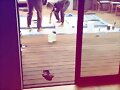 Claire Holt - Instagram Story November 2017