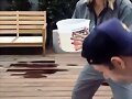 Claire Holt - Instagram Story November 2017