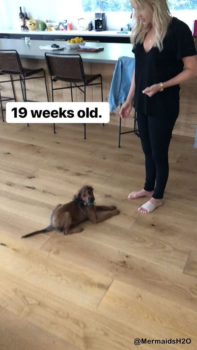 Claire Holt - Instagram Story April 2018