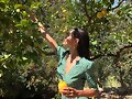 Phoebe Tonkin en Mallorca, Espa&ntilde;a (Julio 2018)