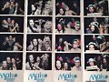 Mako Mermaids Wrap Party