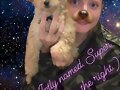 Cariba Heine | Aug 2018
