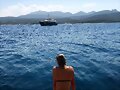 Claire Holt en Italia | July 2018