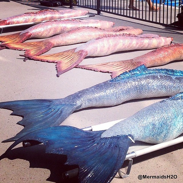Behind-the-scenes Mako Mermaids Season 2