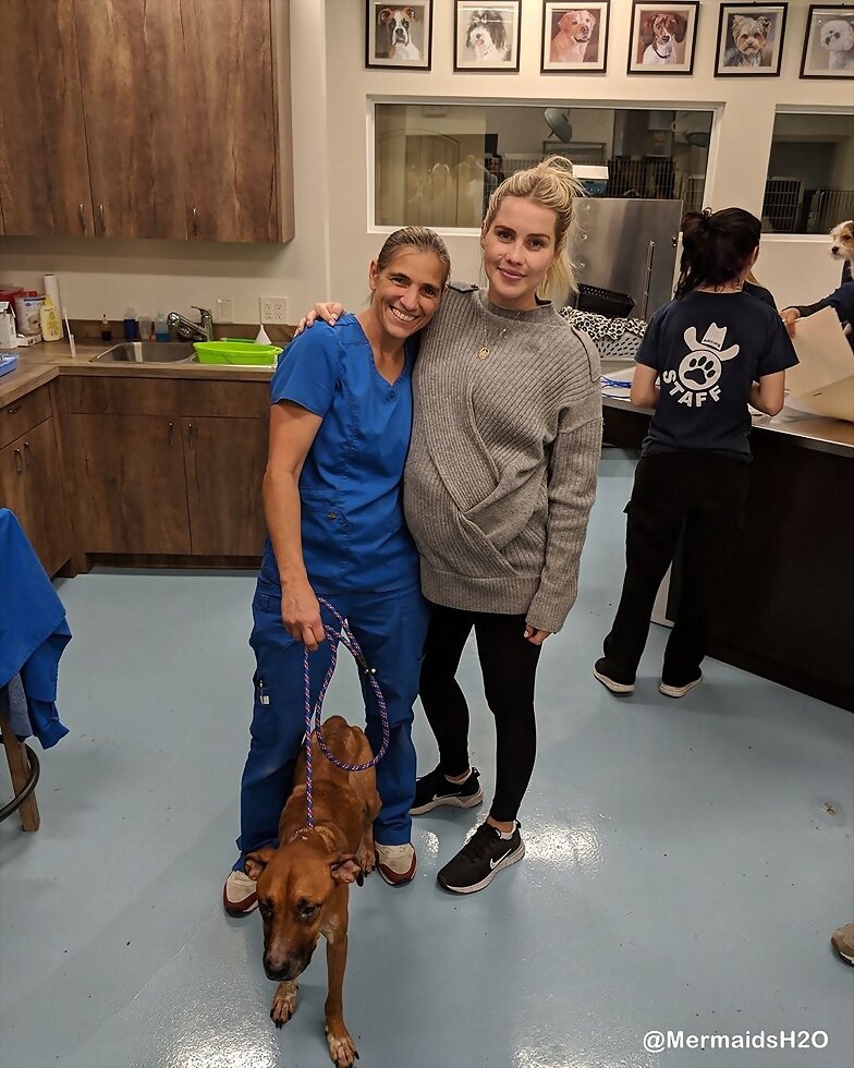 Claire Holt rescata un animal abandonado