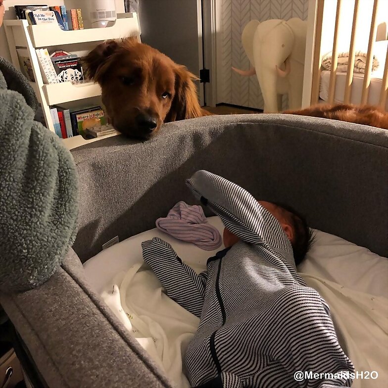 El hijo de Claire Holt, James Holt Joblon