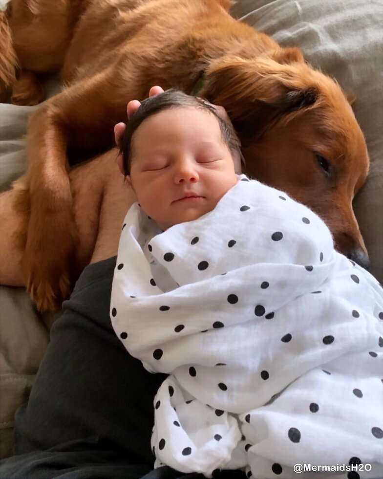 El hijo de Claire Holt, James Holt Joblon