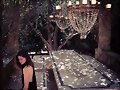 Phoebe Tonkin photoshoot The Influence 2014