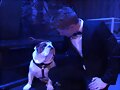 Luke Mitchell - Marinecorps Birthday Ball 2018