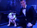 Luke Mitchell - Marinecorps Birthday Ball 2018