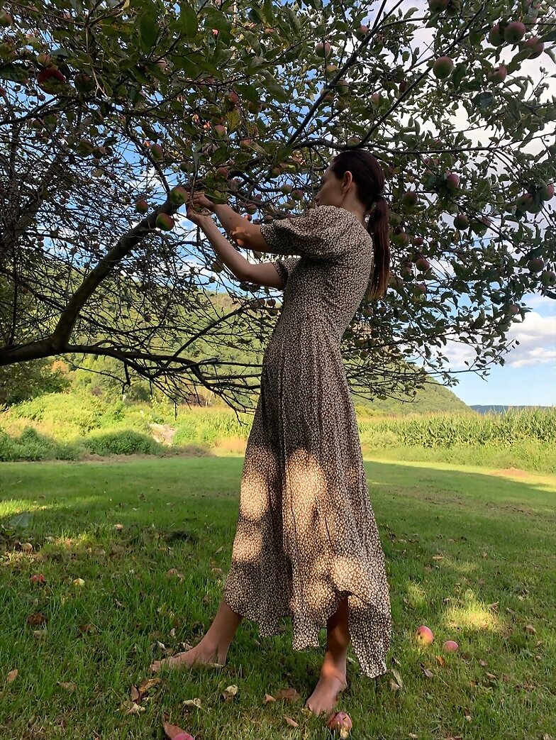 Phoebe Tonkin para shopdoen 2019