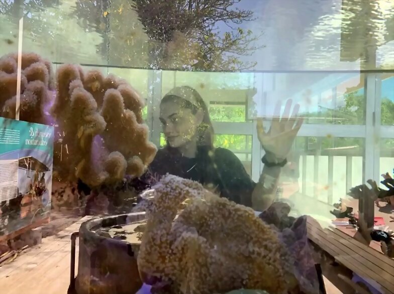 Phoebe Tonkin | Oct 2019