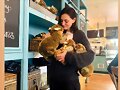 Phoebe Tonkin | November 2019
