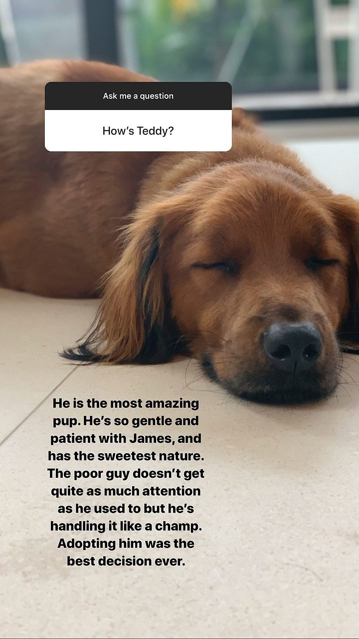 Claire Holt via instagram stories | February 2020