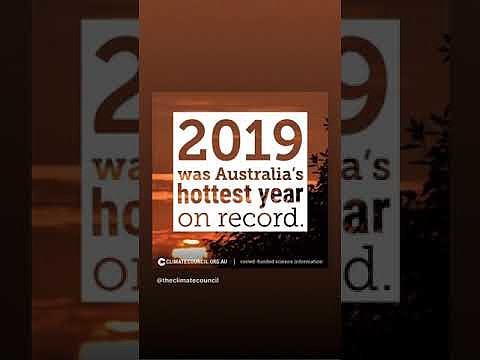 Phoebe Tonkin - Instagram Story videos | Jan 2020