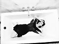 Phoebe Tonkin photoshoot The Coveteur 2015
