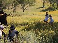 Phoebe Tonkin BTS photoshoot Vogue Australia 2015