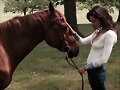 Phoebe Tonkin BTS photoshoot Free People 2015