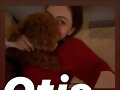 Phoebe Tonkin  | February 2020