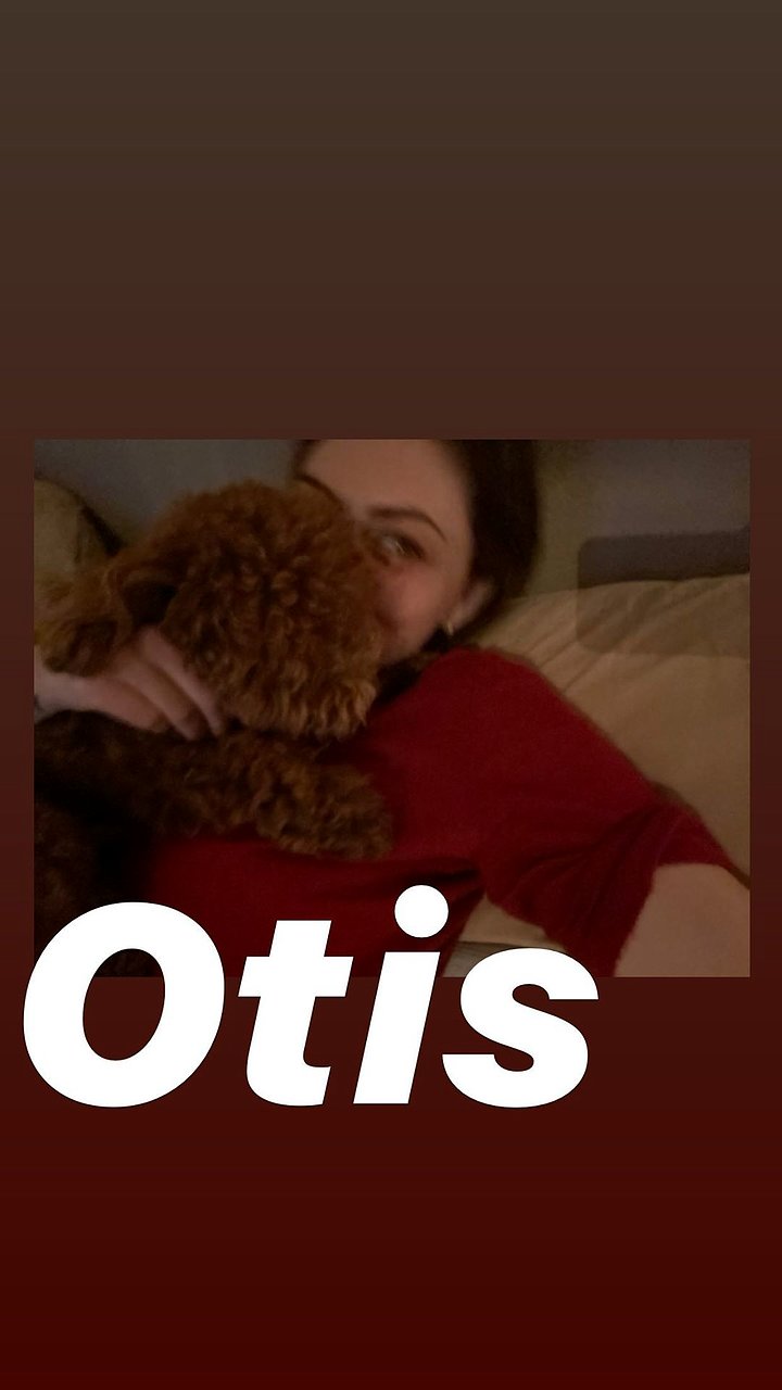 Phoebe Tonkin  | February 2020