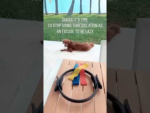 Claire Holt - Instagram Story videos | March 2020