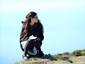 Phoebe Tonkin en Billionaire Ransom/Take Down 2016