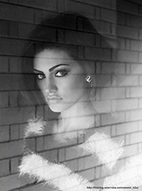 Phoebe Tonkin sesión de fotos - Pierre Toussaint