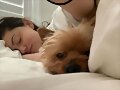 Phoebe Tonkin con su perrita Lola