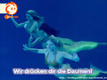 Bella Rikki y Cleo en el agua!