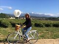 Phoebe Tonkin en Grasse, France, May 2016