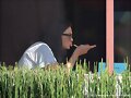 Phoebe Tonkin - Lunch at the Newsroom Cafe, Feb 25