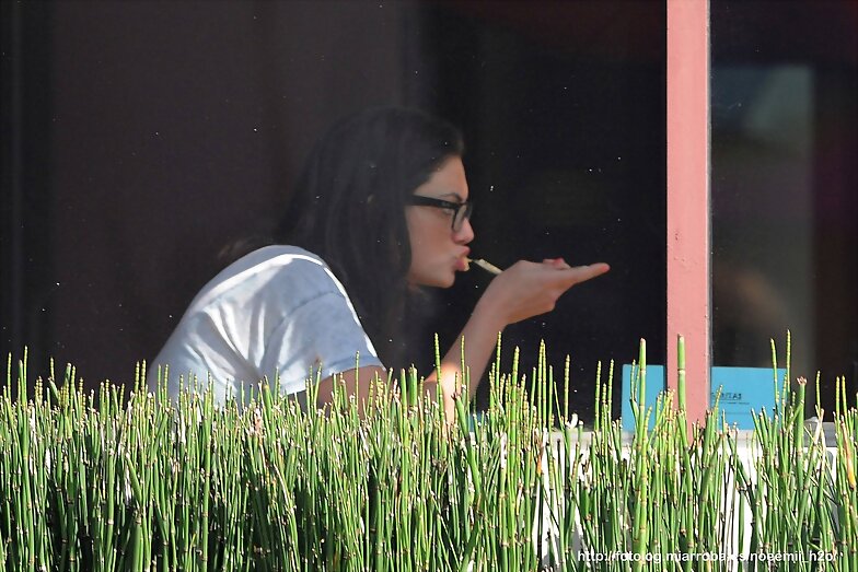 Phoebe Tonkin - Lunch at the Newsroom Cafe, Feb 25