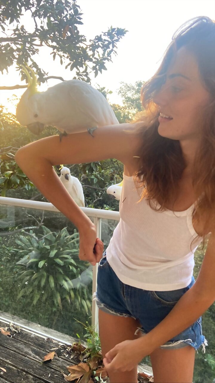 Phoebe Tonkin en Australia | December 2021