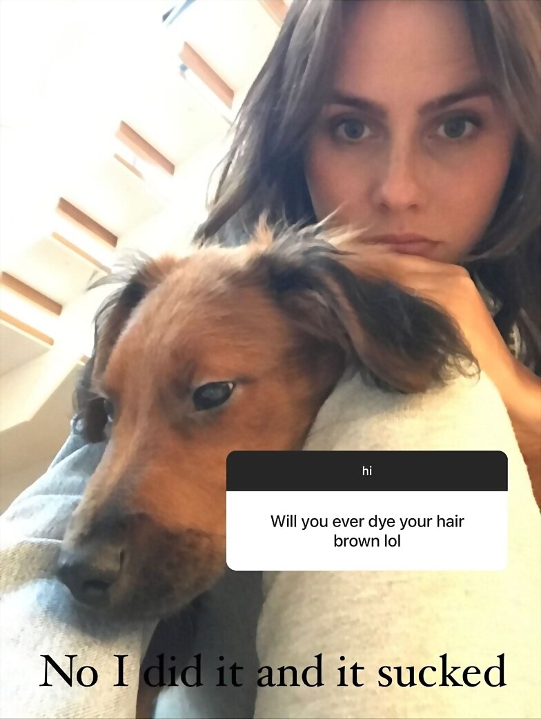 Claire Holt con pelo castaño con su perro Teddy