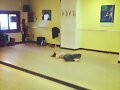 Phoebe Tonkin en clases d Baile con Shelley Hennig