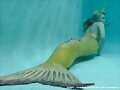 Bella escondida en la piscina