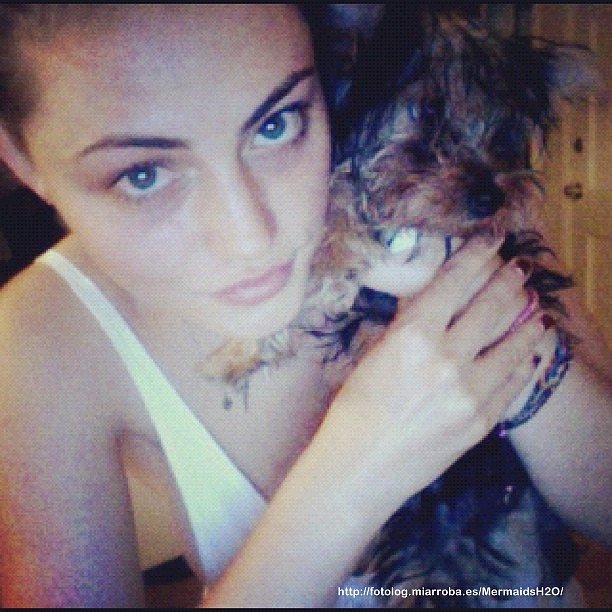 Phoebe Tonkin con su perrito