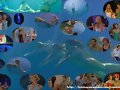 H2O capitulo 25: &quot;Una cita con el destino&quot; 3&ordf; temp