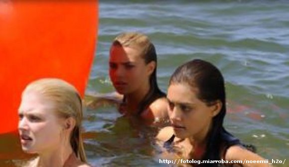 Rikki Cleo y Bella en el agua