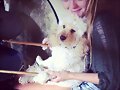 Cleo Massey con su perrito