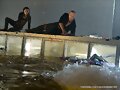 Still de &#039;Bait 3D&#039; de Phoebe Tonkin como Jaimie