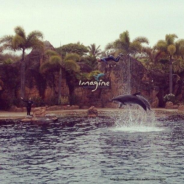 El parque marino