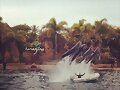 El parque marino