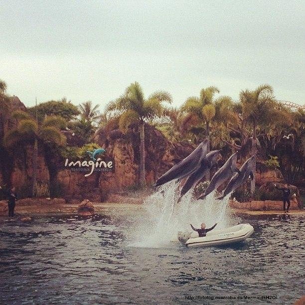 El parque marino