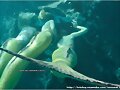 Do you believe in mermaids?