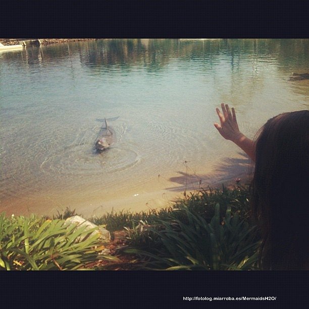Mako Mermaids