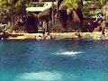 El parque marino