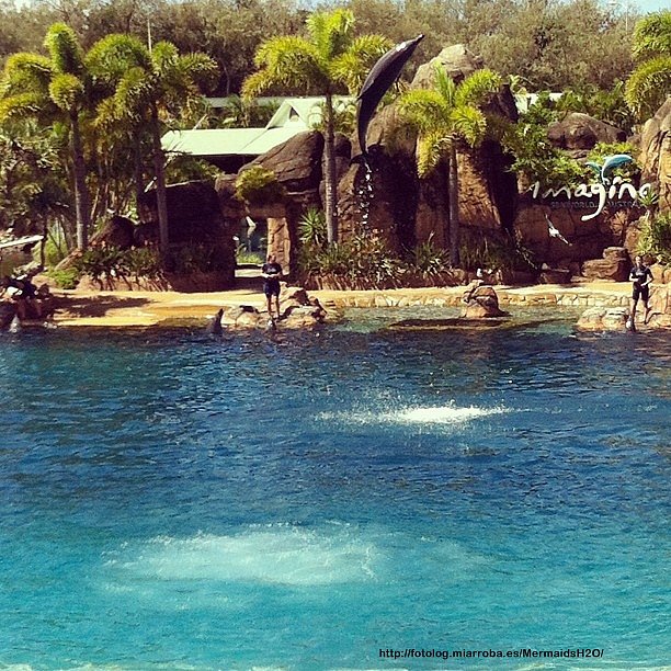 El parque marino