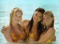 Rikki Cleo y Bella (Cariba, Phoebe and Indiana)